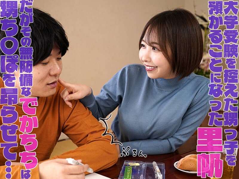 憧れの爆乳叔母の着衣おっぱい探検～卑猥に膨らんだセーターの内側に顔を埋め続けた記憶～ 宍戸里帆 サンプル1