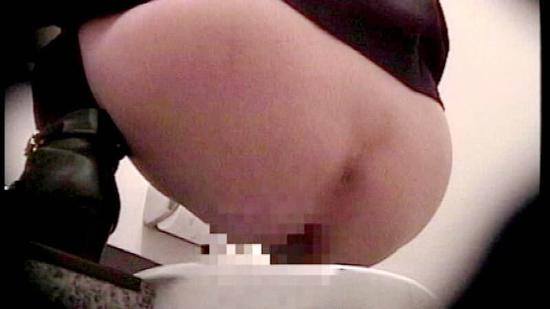 都内某所の仮設和式トイレ排泄盗撮スパイカメラ映像3 20人 サンプル10